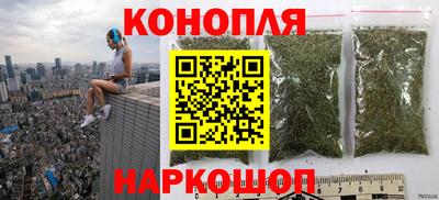 СК Краснознаменск
