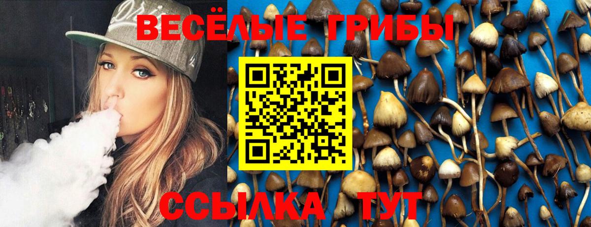 Псилоцибиновые грибы ЛСД Нижний Тагил